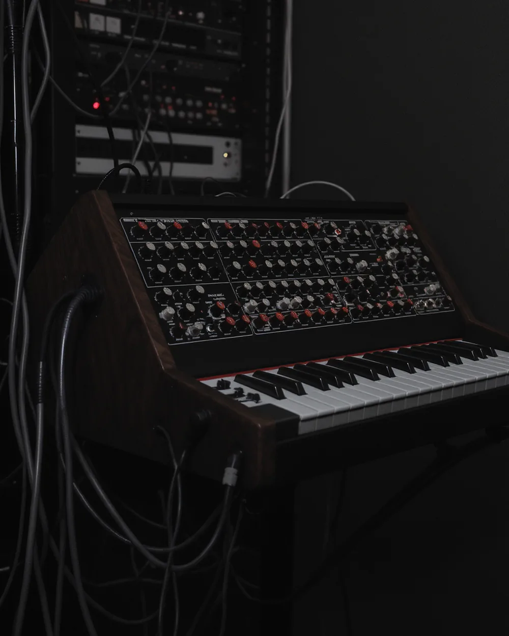Analogue monosynth with wooden end cheeks, patch cables and rack gear behind.